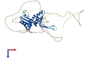 AlphaFold protein structure predicition of Human Recombinant BTBD10 Protein, UniprotID Q9BSF8 (BTBD10 Protein (AA 1-475) (His tag))