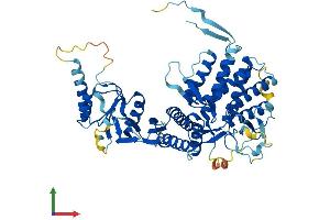 AlphaFold protein structure predicition of Mouse Recombinant Mkks Protein, UniprotID Q9JI70 (MKKS Protein (AA 1-570) (His tag))