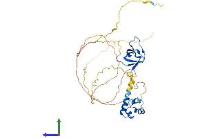 Protein Structure (PS) image for SAM Domain, SH3 Domain and Nuclear Localization Signals, 1 (SAMSN1) (AA 1-373) protein (His tag) (ABIN7551723)