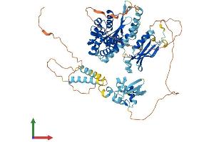 AlphaFold protein structure predicition of Human Recombinant ZSWIM3 Protein, UniprotID Q96MP5
