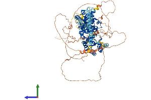 AlphaFold protein structure predicition of Human Recombinant TBC1D5 Protein, UniprotID Q92609 (TBC1D5 Protein (AA 1-795) (His tag))
