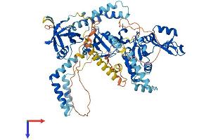 MPP5 Protein (AA 1-675) (His tag)