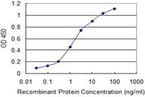 Detection limit for recombinant GST tagged PXDN is 0. (Peroxidasin antibody  (AA 1452-1561))