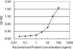 Sandwich ELISA detection sensitivity ranging from 0. (CALR3 (Human) Matched Antibody Pair)