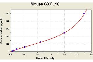 Diagramm of the ELISA kit to detect Mouse CXCL16with the optical density on the x-axis and the concentration on the y-axis. (CXCL16 ELISA Kit)