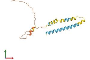 Protein Structure (PS) image for Interferon-Induced Transmembrane Protein 3 (IFITM3) (AA 1-133) protein (His tag) (ABIN7554182)