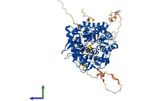 AlphaFold protein structure predicition of Human Recombinant MAN1C1 Protein, UniprotID Q9NR34 (MAN1C1 Protein (AA 1-630) (His tag))
