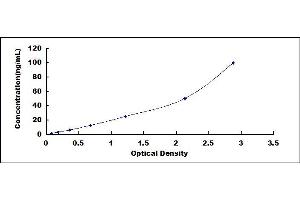 Regenerating Islet Derived Protein 3 gamma (REG3g) ELISA Kit