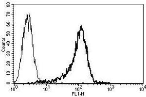 A typical staining pattern with the B-F23 monoclonal antibody of KG1a cell line (ErbB2/Her2 antibody)