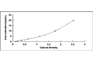 Epithelial Mitogen (EPGN) ELISA Kit