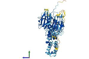 AlphaFold protein structure predicition of Human Recombinant KLHL30 Protein, UniprotID Q0D2K2
