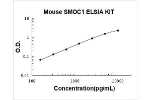 SPARC Related Modular Calcium Binding 1 (SMOC1) ELISA Kit