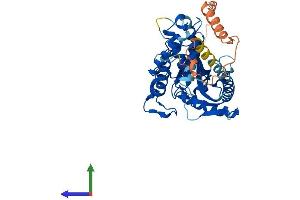 AlphaFold protein structure predicition of Mouse Recombinant Mab21L3 Protein, UniprotID Q8CI17 (MAB21L3 Protein (AA 1-429) (His tag))