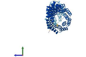 Protein Structure (PS) image for Tetratricopeptide Repeat Domain 6 (TTC6) (AA 1-520) protein (His tag) (ABIN7544853)