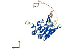 AlphaFold protein structure predicition of Mouse Recombinant Ctdsp1 Protein, UniprotID P58466 (CTDSP1 Protein (AA 1-261) (His tag))