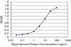 Detection limit for recombinant GST tagged CDC42BPB is approximately 0. (CDC42BPB antibody  (AA 1580-1679))