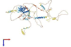Lipolysis Stimulated Lipoprotein Receptor (LSR) (AA 1-649) protein (His tag)