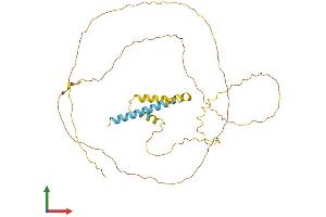Protein Structure (PS) image for Proline-Rich Transmembrane Protein 2 (PRRT2) (AA 1-340) protein (His tag) (ABIN7551064)
