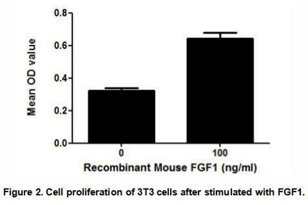 FGF1 Protein (AA 16-155) (His tag)