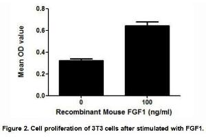 (FGF1) Fibroblast growth factor 1 belongs to the fibroblast growth factor (FGF) family.