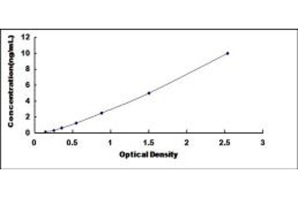 BMPR1A ELISA Kit