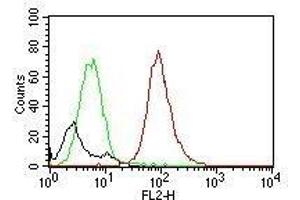 Image no. 3 for anti-CD63 (CD63) antibody (ABIN6188015)