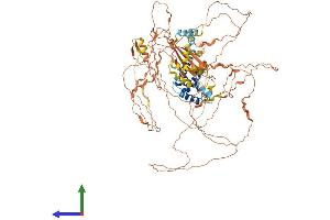 AlphaFold protein structure predicition of Human Recombinant NUTM2B Protein, UniprotID A6NNL0 (NUTM2B Protein (AA 1-878) (His tag))