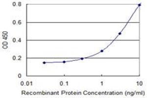 Detection limit for recombinant GST tagged FDX1 is 0. (Ferredoxin1 (FDX1) (AA 85-183) antibody)