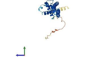 AlphaFold protein structure predicition of Human Recombinant DGCR6 Protein, UniprotID Q14129