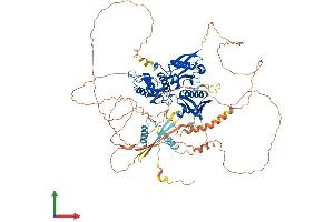 AlphaFold protein structure predicition of Mouse Recombinant Epb41l1 Protein, UniprotID Q9Z2H5