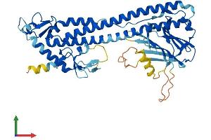 Protein Structure (PS) image for Tripartite Motif Containing 49 (TRIM49) (AA 1-452) protein (His tag) (ABIN7544589)
