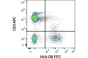 Flow cytometry multicolor surface staining pattern of human lymphocytes using anti-human HLA-DR (MEM-12) FITC antibody (20 μL reagent / 100 μL of peripheral whole blood) and anti-human CD3 (UCHT1) APC antibody (10 μL reagent / 100 μL of peripheral whole blood). (HLA-DR antibody  (FITC))