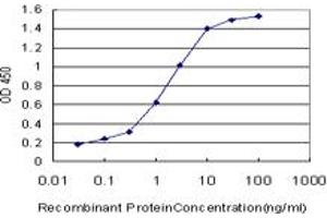 Detection limit for recombinant GST tagged RNF2 is approximately 0. (RNF2 antibody  (AA 192-290))