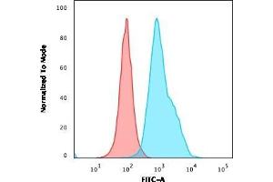 Flow Cytometric Analysis of Ramos cells using CD10 Mouse Monoclonal Antibody (CB-CALLA) followed by goat anti-Mouse IgG-CF488 (Blue); Isotype control (Red). (MME antibody)