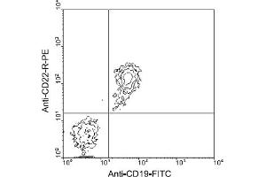 Flow Cytometry (FACS) image for anti-CD22 Molecule (CD22) antibody (PE) (ABIN370869) (CD22 antibody  (PE))