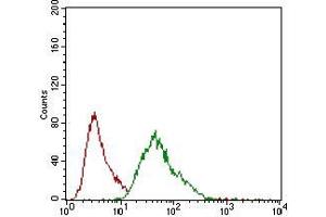 Flow cytometric analysis of MCF-7 cells using MCAM mouse mAb (green) and negative control (red). (MCAM antibody  (AA 84-189))