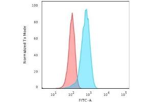 Flow Cytometry (FACS) image for anti-Ubiquitin Carboxyl-terminal Esterase L1 (Ubiquitin Thiolesterase) (UCHL1) antibody (ABIN6940856)