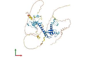 AlphaFold protein structure predicition of Human Recombinant MKRN4P Protein, UniprotID Q13434 (MKRN4P Protein (AA 1-485) (His tag))