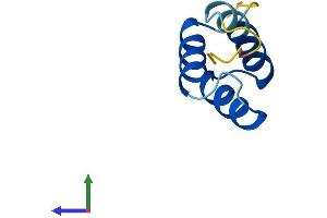 Protein Structure (PS) image for HOP Homeobox (HOPX) (AA 1-73) protein (Fc Tag) (ABIN7548389)