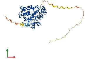 AlphaFold protein structure predicition of Human Recombinant SULT2B1 Protein, UniprotID O00204 (SULT2B1 Protein (AA 1-365) (His tag))