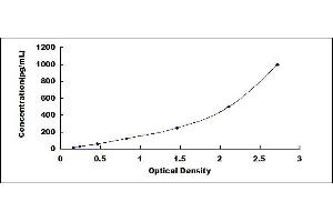 Typical standard curve (IL-5 ELISA Kit)