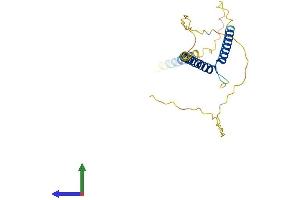 AlphaFold protein structure predicition of Mouse Recombinant Mxd1 Protein, UniprotID P50538 (MXD1 Protein (AA 1-227) (His tag))