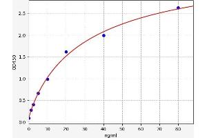 Typical standard curve (MAPK14 ELISA Kit)