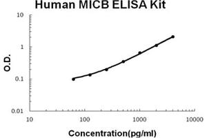 Human MICB Accusignal ELISA Kit Human MICB AccuSignal ELISA Kit standard curve. (MICB ELISA Kit)