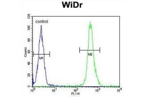 Flow Cytometry (FACS) image for anti-Vacuolar Protein Sorting-Associated Protein 26A (VPS26A) antibody (ABIN3003886) (VPS26A antibody)