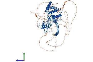 AlphaFold protein structure predicition of Mouse Recombinant Arhgap24 Protein, UniprotID Q8C4V1 (ARHGAP24 Protein (AA 1-747) (His tag))