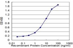 Detection limit for recombinant GST tagged BCR is approximately 0. (BCR antibody  (AA 182-280))