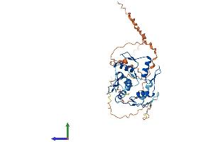 AlphaFold protein structure predicition of Human Recombinant GLI4 Protein, UniprotID P10075 (GLI4 Protein (AA 1-376) (His tag))