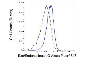 Validation of Exo/Endonuclease G knockdown using flow cytometry.