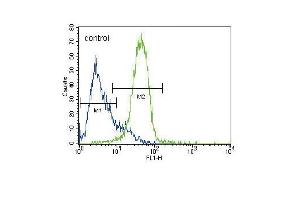 GATA4 Antibody (C-term) (ABIN388153 and ABIN2846917) flow cytometric analysis of HepG2 cells (right histogram) compared to a negative control cell (left histogram). (GATA4 antibody  (C-Term))